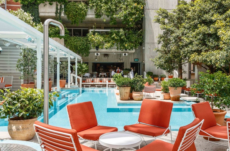 A rooftop pool bar with red loungers and lots of greenery